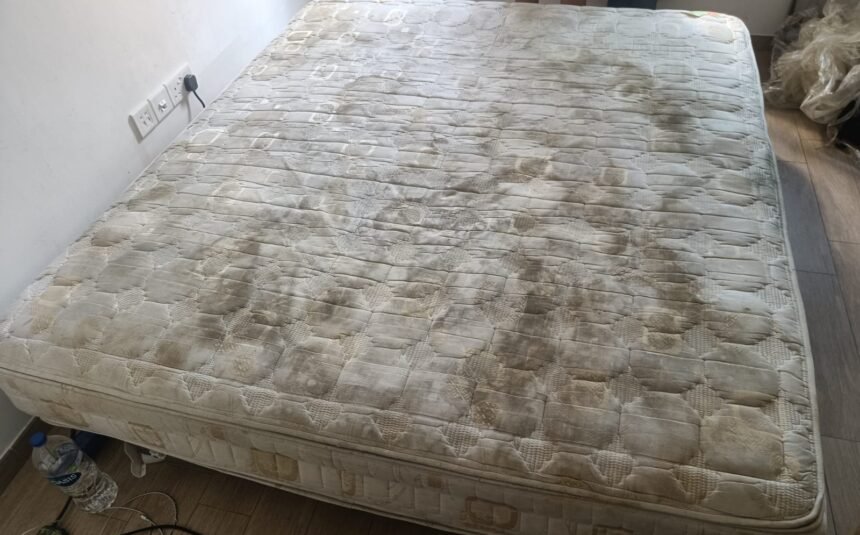 deep cleaning removes bacteria allergens