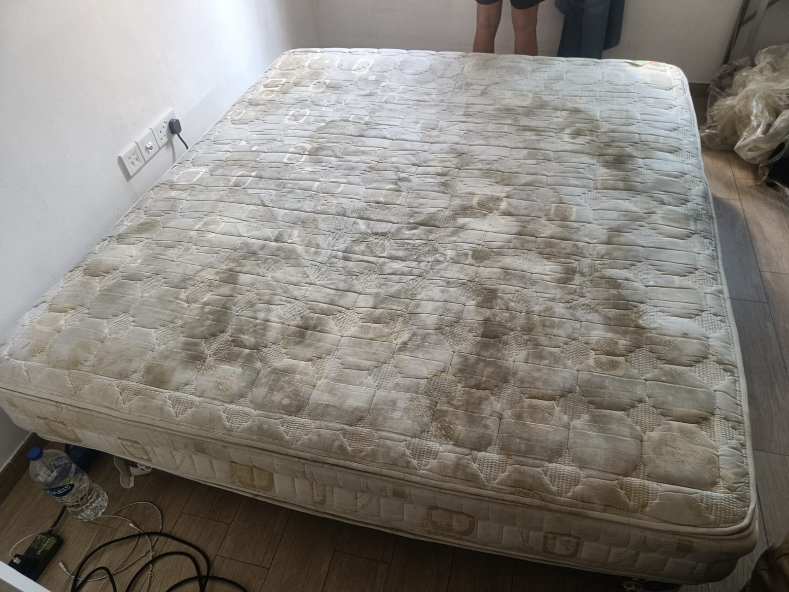 deep cleaning removes bacteria allergens