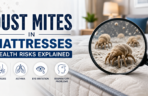 dust mites in mattresses
