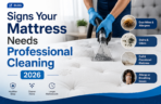 mattress mattress cleaning